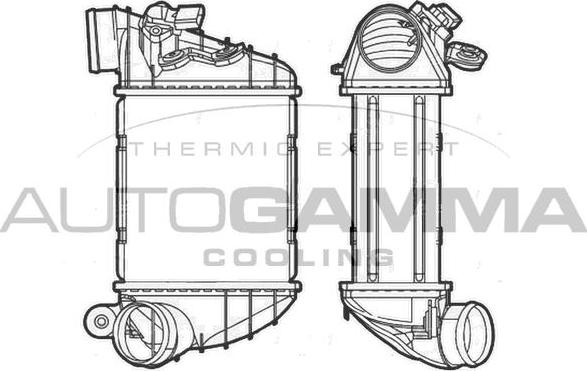 Autogamma 103876 - Интеркулер autocars.com.ua