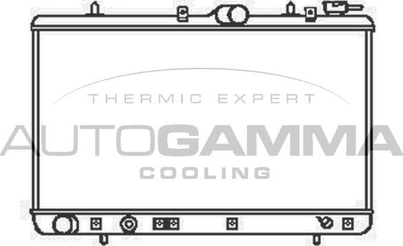 Autogamma 104061 - Радиатор, охлаждение двигателя autodnr.net