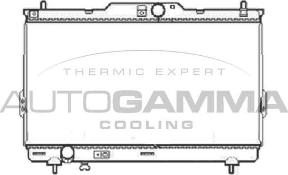 Autogamma 104073 - Радіатор, охолодження двигуна autocars.com.ua