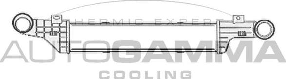 Autogamma 104217 - Интеркулер autocars.com.ua