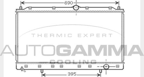 Autogamma 104290 - Радіатор, охолодження двигуна autocars.com.ua