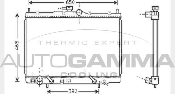 Autogamma 104511 - Радиатор, охлаждение двигателя autodnr.net