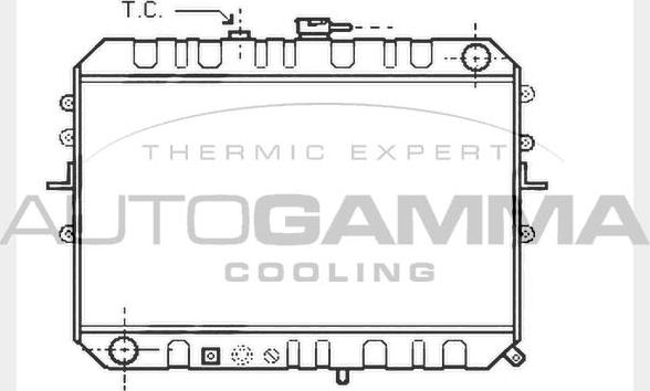 Autogamma 104597 - Радіатор, охолодження двигуна autocars.com.ua