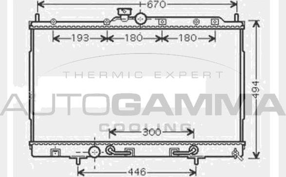 Autogamma 104604 - Радиатор, охлаждение двигателя autodnr.net