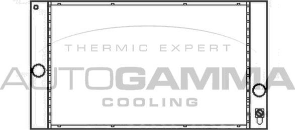 Autogamma 104928 - Радиатор, охлаждение двигателя autodnr.net