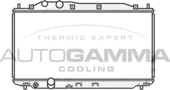Autogamma 105107 - Радиатор, охлаждение двигателя autodnr.net
