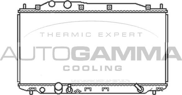 Autogamma 105125 - Радиатор, охлаждение двигателя autodnr.net