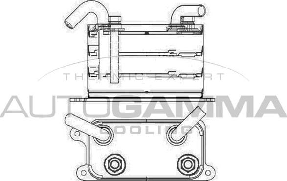 Autogamma 105228 - Масляний радіатор, рухове масло autocars.com.ua