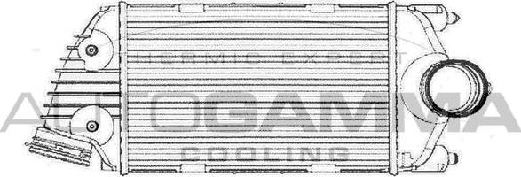 Autogamma 105379 - Интеркулер autocars.com.ua