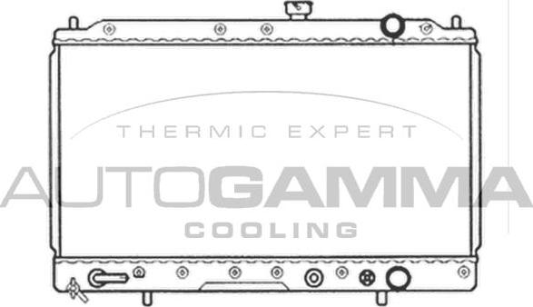 Autogamma 105569 - Радіатор, охолодження двигуна autocars.com.ua