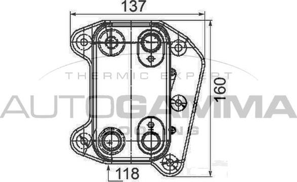 Autogamma 105739 - Масляний радіатор, рухове масло autocars.com.ua