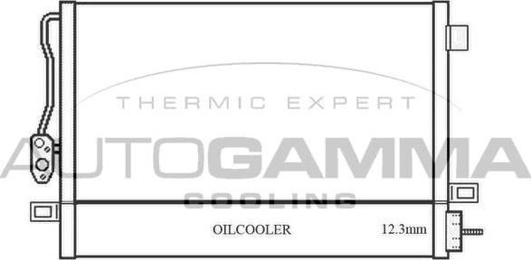 Autogamma 105897 - Конденсатор, кондиціонер autocars.com.ua