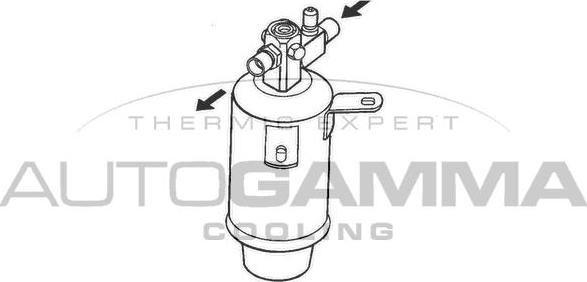 Autogamma 106152 - Осушувач, кондиціонер autocars.com.ua