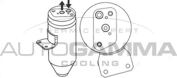 Autogamma 106156 - Осушувач, кондиціонер autocars.com.ua