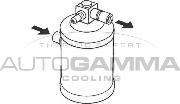 Autogamma 106189 - Осушувач, кондиціонер autocars.com.ua