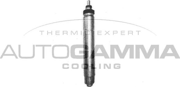 Autogamma 106300 - Осушувач, кондиціонер autocars.com.ua