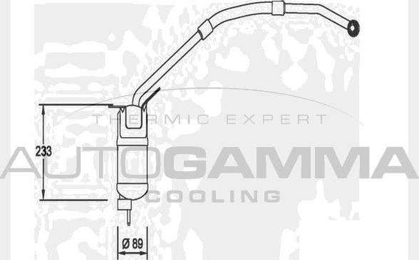 Autogamma 106389 - Осушувач, кондиціонер autocars.com.ua