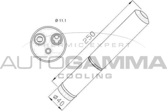 Autogamma 106417 - Осушувач, кондиціонер autocars.com.ua