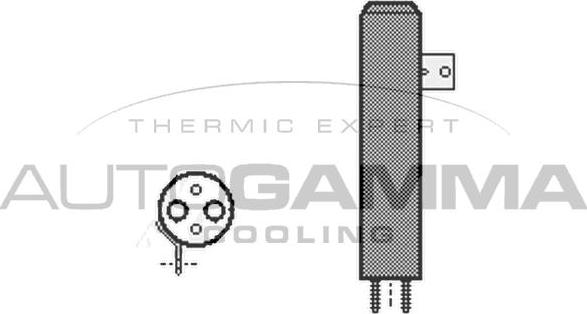 Autogamma 106450 - Осушувач, кондиціонер autocars.com.ua