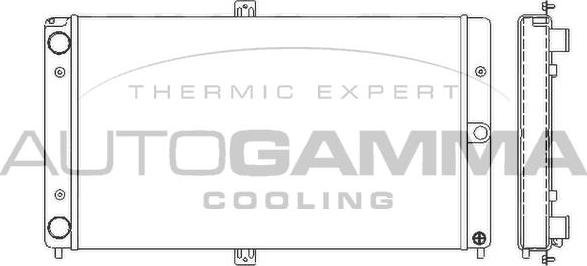 Autogamma 107035 - Радиатор, охлаждение двигателя autodnr.net