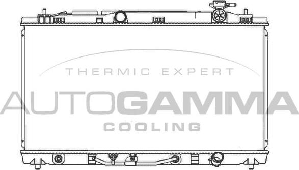 Autogamma 107062 - Радиатор, охлаждение двигателя autodnr.net