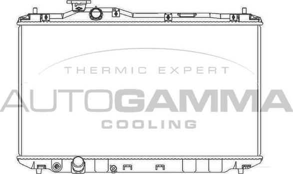 Autogamma 107176 - Радиатор, охлаждение двигателя autodnr.net