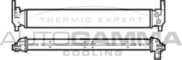 Autogamma 107200 - Радиатор, охлаждение двигателя autodnr.net