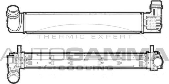 Autogamma 107473 - Интеркулер autocars.com.ua