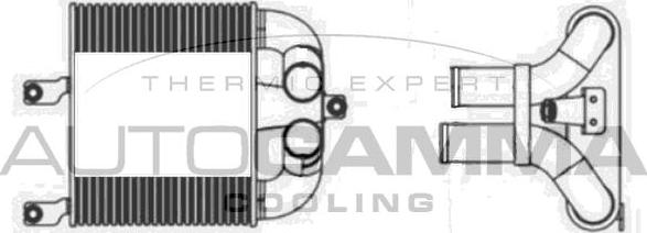 Autogamma 107604 - Интеркулер autocars.com.ua