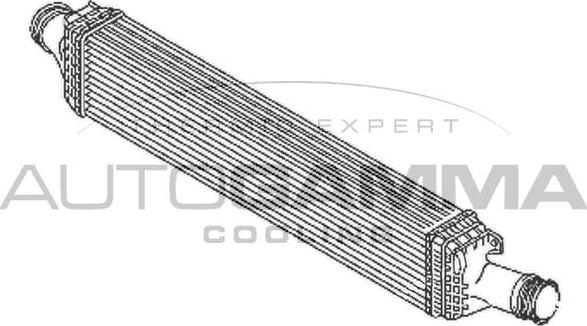 Autogamma 107853 - Интеркулер autocars.com.ua