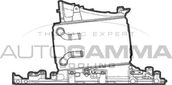 Autogamma 107913 - Интеркулер autocars.com.ua