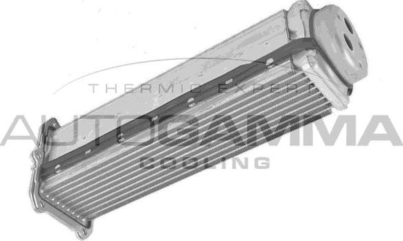 Autogamma 107924 - Интеркулер autocars.com.ua