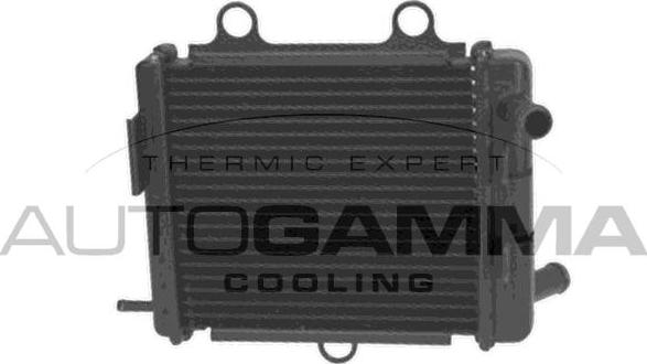 Autogamma 107943 - Радіатор, охолодження двигуна autocars.com.ua