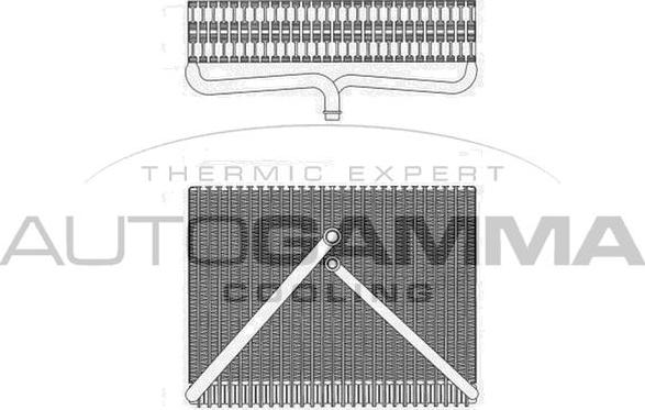 Autogamma 112211 - Испаритель, кондиционер autodnr.net