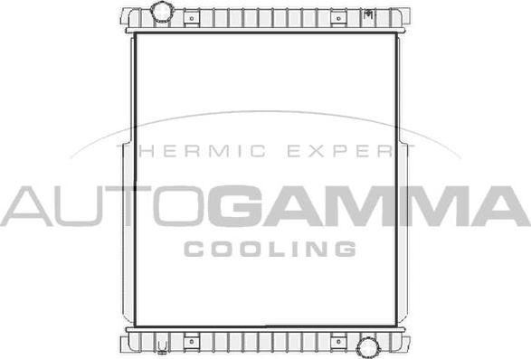 Autogamma 404894 - Радиатор, охлаждение двигателя autodnr.net