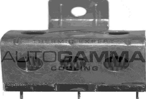 Autogamma GA15510 - Сопротивление, реле, вентилятор салона autodnr.net