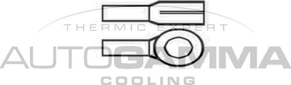 Autogamma GA201678 - Вентилятор, охолодження двигуна autocars.com.ua