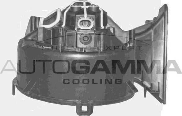Autogamma GA20362 - Вентилятор салона autodnr.net
