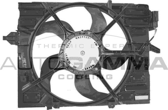 Autogamma GA223008 - Вентилятор, охолодження двигуна autocars.com.ua