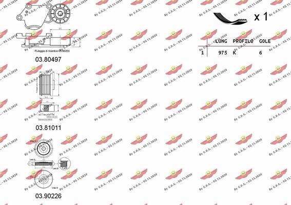 Autokit 06.0110 - Поликлиновий ремінний комплект autocars.com.ua