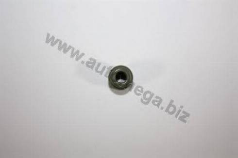 Automega 1006420533 - Уплотнительное кольцо, стержень клапана autodnr.net