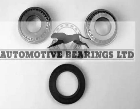 Automotive Bearings ABK1360 - Комплект подшипника ступицы колеса autodnr.net