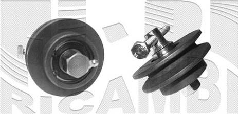 Autoteam A05456 - Натягувач ременя, клинові зуб. autocars.com.ua