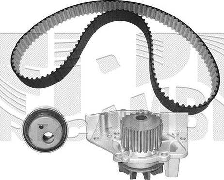 Autoteam KATW1153 - Водяний насос + комплект зубчатого ременя autocars.com.ua