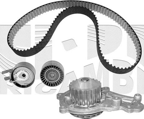 Autoteam KATW1287 - Водяной насос + комплект зубчатого ремня autodnr.net