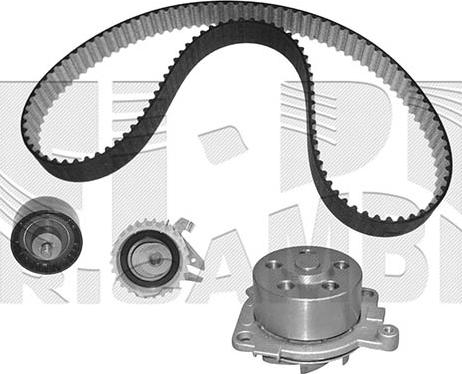 Autoteam KATW1295 - Водяной насос + комплект зубчатого ремня autodnr.net