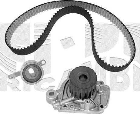 Autoteam KATW1376 - Водяной насос + комплект зубчатого ремня autodnr.net