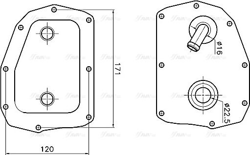 Ava Quality Cooling MS3781 - Масляный радиатор, двигательное масло avtokuzovplus.com.ua