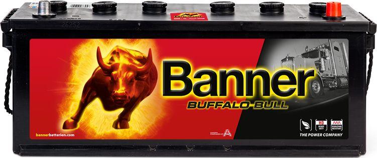 BANNER 010632110101 - Стартерна акумуляторна батарея, АКБ autocars.com.ua