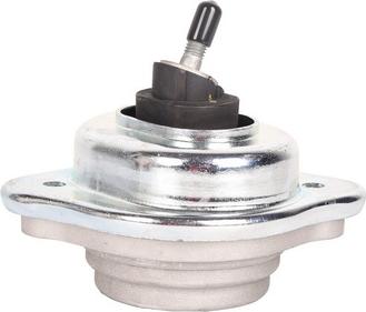 BAPMIC BACB12-205026 - Подушка, підвіска двигуна autocars.com.ua